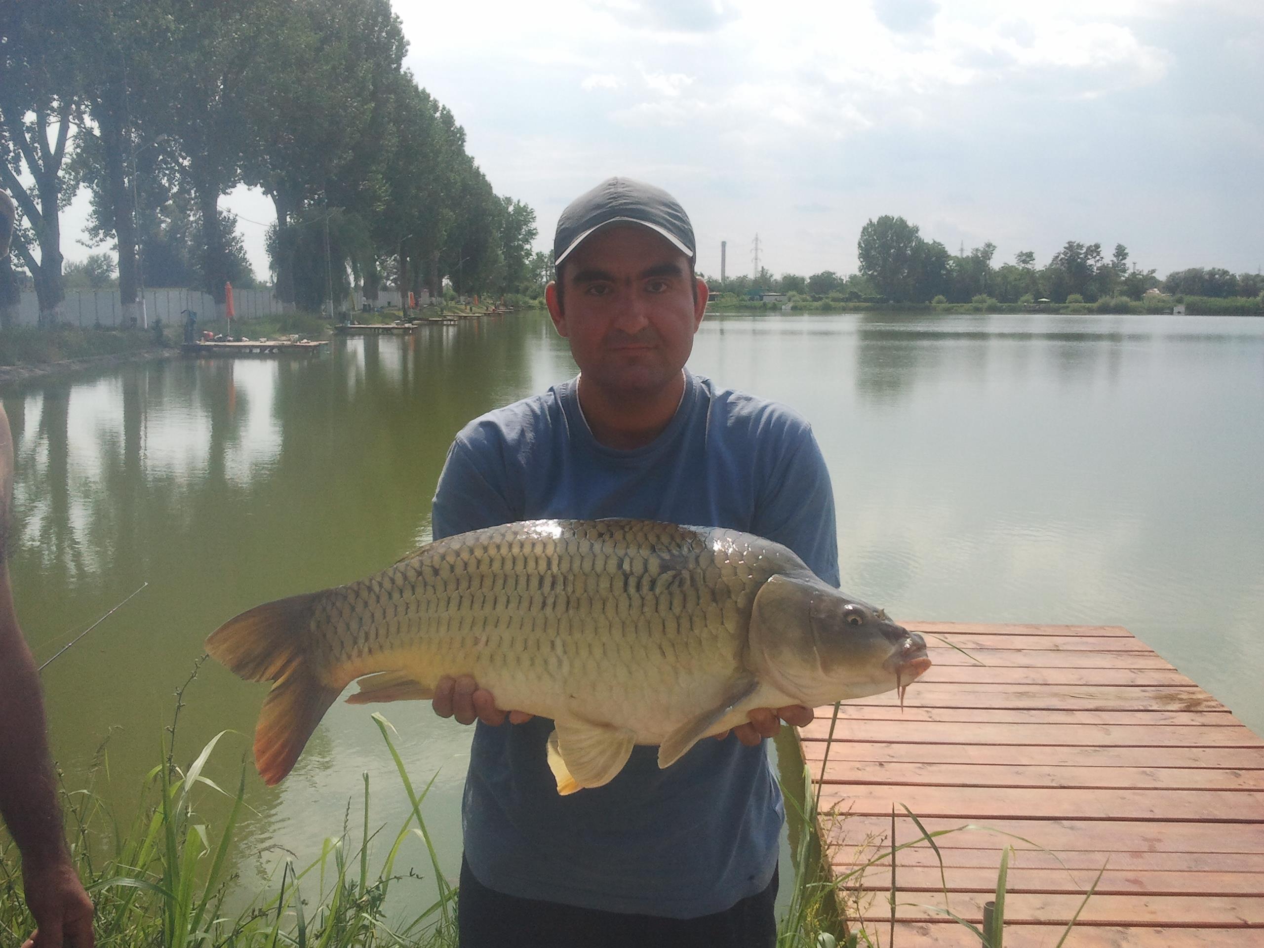 Pleasa 2012 - crap comun 7 kg